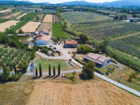 Agriturismo Ferri Bibbona